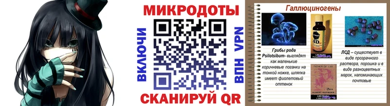 закладки Озёрск Псилоцибиновые грибы прущие грибы